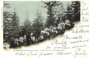 Battalion de Chasserus alpins - Sous bois, en reconnaissance / Alpine Hunter Battalion during reconnaissance, French military (EK)