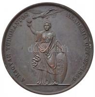 Anton Fabris (1792-1865) 1859. "Kazinczy Ferenc emlékérem" Br emlékérem. "KAZINCZY FE...