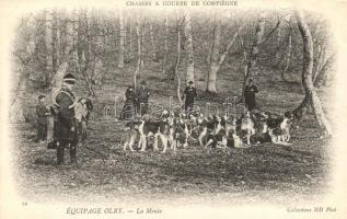 Chasses a Courre de Compiégne - Équipage Olry - La Meute / Compiégne, hunters, hunting dog pack