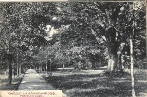 Bikszád-gyógyfürdő, Bixad; Parkrészlet, sugárút, kiadja Divald Károly fia / Park, promenade (EK)