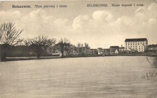 Bilshivtsi, Bolszowce; Myln parowy i staw / steam mill and pond (EK)