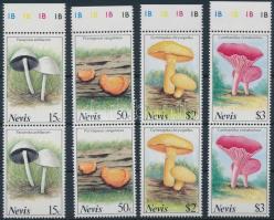 Mushroom set in margin pairs, Gomba sor ívszéli párokban