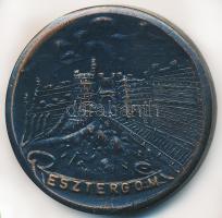 DN "Esztergom" Br emlékérem (38mm) T:2