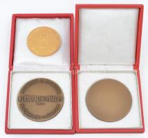 1967. "Budaoest / SZOT - IV. Nemzetközi Munkavédelmi Filmfesztivál" aranyozott, zománcozot...