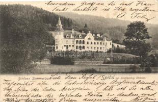 Spital am Semmering, Schloss Sommerau / castle (EK)
