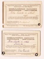 cca 1914  Félárú jegy váltására jogosító fényképes MÁV-igazolvány fővárosi műszaki tiszt fia részére...