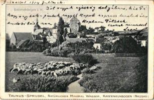 Katzenelnbogen, Taunus-Sprudel, natural mineral water (small tear)