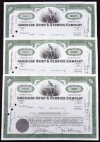 Amerikai Egyesült Államok / Delaware 1969. "American Hoist & Derrick Company" 100 részvénye peforációval, bélyegzésekkel, lyukasztással érvénytelenítve, (3x) sorszámkövetők T:I- USA / Delaware 1969. "American Hoist & Derrick Company" 100 shares with perforation, stamps, cancelled by holes, (3x) with sequential serials C:AU