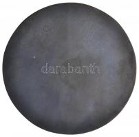 ~1970-1980. "Karinthy Frigyes Gimnázium emlékérme" Br emlékérem eredeti tokban, szignálva ...