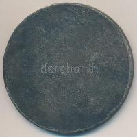 Zsákodi Csiszér János (1883-1953) 1928. "Magyar Anyák Nemzeti Ünnepe" fém emlékérem fül né...