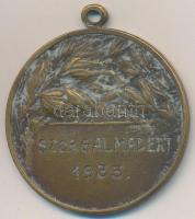 1933. "Újpesti Torna Egyesület 1885 / Szorgalmadért" Br kitüntető érem füllel "LUDVIG...