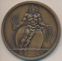 Borsos Miklós (1906-1990) 1980. "Fiziológiai Tudományok XXVIII. Nemzetközi Kongresszusa Budapes...