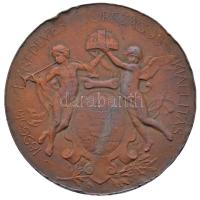 Beck Ötvös Fülöp (1873-1945) 1896. Milleniumi kiállítási emlékérem Br emlékérem. 1896-IKI EZREDÉVES ORSZÁGOS KIÁLLÍTÁS - ÉRSEKMEGYEI KÖNYVTÁRNAK EGER / KIÁLLÍTÁSI ÉREM AZ ÉRDEM JUTALMÁUL (70,5mm) T:2-,3 erős ph. Hungary 1896. Medal of the Millenium Exhibition Br commemorative medallion. Sign.: Fülöp Beck Ötvös (70,5mm) C:VF,F strong edge error  HP 752.