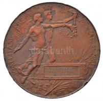 Beck Ötvös Fülöp (1873-1945) 1896. "Milleniumi kiállítási emlékérem" Br emlékérem. "1...