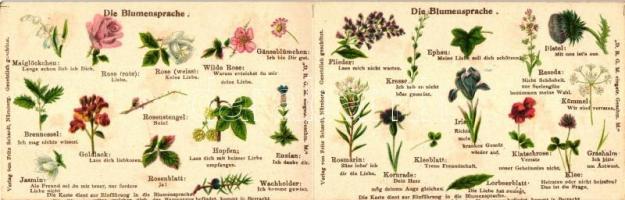 Blumensprache / Flower language, meaning of the particular flowers between lovers, folding card