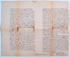 1882 Gyógyszerész kérvénye a miniszterhez ócsai gyógyszertári jog elnyeréséért