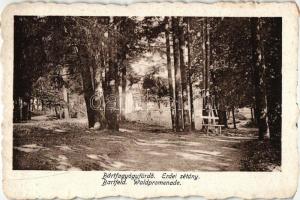 Bártfafürdő, Bardejovské kúpele; erdei sétány / forest promenade