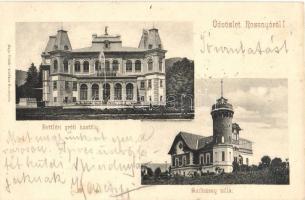 Rozsnyó, Roznava; Bettléri grófi kastély, Szilvássy villa / castle, villa