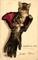 Cat in a glove, litho (wet corner)