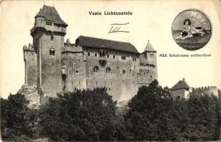 Maria Enzersdorf, Veste Liechtenstein, Mädi Schuhcreme weltberühmt / castle, shoe cream (wet corner)