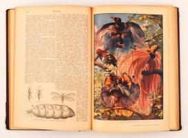 Tolnai új világlexikona I-XX. (A-ZS) + 2 pótkötet. Az általános tudás és műveltség tára. Bp., 1926-3...