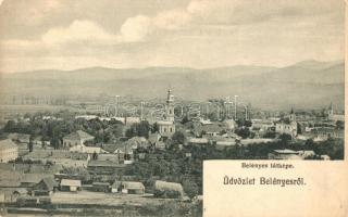 Belényes, kiadja Wagner Vilmos fényképész