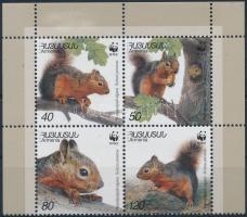 WWF: Kaukázusi mókus ívsarki négyestömb, WWF: Caucasian squirrel corner block of 4