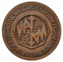 Lengyelország ~1971. "Jaroslaw Dabrowski Katonai Műszaki Egyetem" Br emlékérem. Szign.: J....