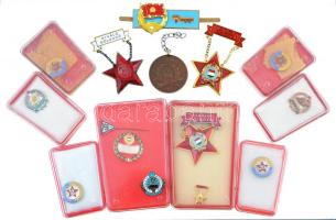 14db vegyes szocialista jelvény, kitüntetés, főleg eredeti tokokban, közte "Kiváló Dolgozó" aranyozott, zománcozott jelvény, "Somogy Megyei Tanács Törzsgárda" zománcozott fém jelvény T:vegyes