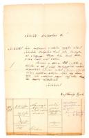 1878 Az orosházi járás főszolgabírájához, Eördögh Lajos úrhoz intézett, gróf Károlyi Gyula(1837-1890) által aláírt vadászati jegy kérvényező levél, 50 kr okmánybélyeggel