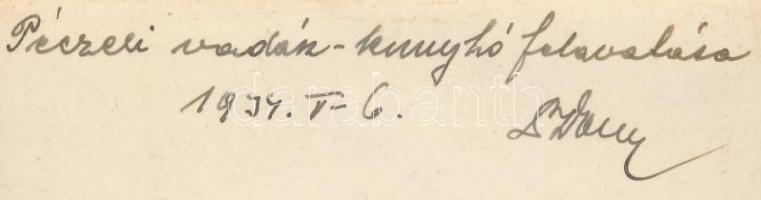 1934 A péceli vadászkunyhó felavatása, hátoldalon feliratozva, 9x13 cm