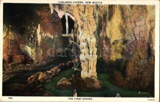 Carlsbad Cavern, New Mexico; The First Spring