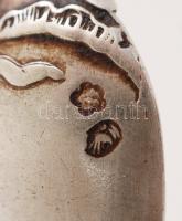 XIX. sz. vége: Jelzett, virég motívummal díszített ezüst kanál / Ornamented silver spoon 39g