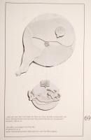 Werkstatt Rixdorfer Drucke. Oeuvre Verzeichnis: Bremer, Schindehütte, Vennekamp, Waldschmitt. Szerk....