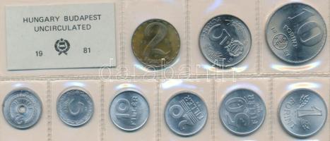 1981. 2f-10Ft 9db klf, érmés forgalmi sor fóliatokban T:1