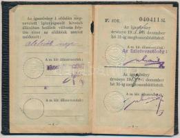 1915 Félárú jegyváltásra jogosító fényképes MÁV-igazolvány királyi járásbíró, később járásbírósági a...