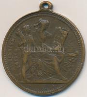 1896. "Millenniumi Emlék 896-1896 / I. Ferenc József" Cu emlékérem füllel (29,5mm) T:3 ph