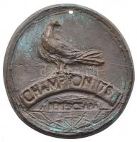 1978. &quot;Champion 78 Békéscsaba&quot; Br galambkiállítási plakett (~84mm) T:2 patina