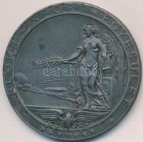 DN "Előre Sport Egyesület" fém sportérem (45mm) T:2