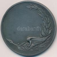 DN "Előre Sport Egyesület" fém sportérem (45mm) T:2
