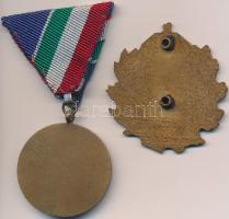 1965. "Árvízvédelemért Érem" patinázott Br kitüntetés mellszalaggal + DN "Magyar címe...