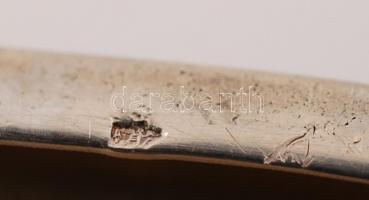 Art deco cigarettatárca, jelzett, belül aranyozott, niello díszítéssel, apró zománchibákkal, 9×8 cm