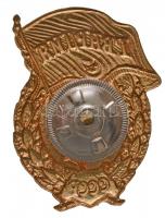 Szovjetunió ~1970. "Szovjet Gárda jelvény" aranyozott, zománcozott fém jelvény csavaros há...