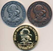 DN "Nagysándor József / HM 43. Híradó és Vezetéstámogató Ezred - Székesfehérvár" (3xklf) e...