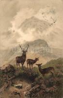 Deer, stag and hinds, Meissner & Buch serie 1264, litho, s: F. W. Hayes (fa)