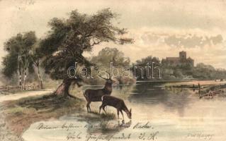 Deer, stag and doe by the river, Meissner & Buch serie 1264, litho, s: F. W. Hayes (EK)
