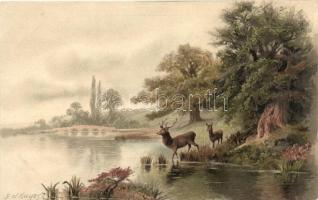 Deer, stag and doe by the river, Meissner & Buch serie 1263, litho, s: F. W. Hayes
