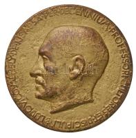 Reményi József (1887-1977) 1925. "Méhely Lajos" aranyozott Br emlékérem. "LUDOVICO MÉHELY DE KISAPSA PER DECENNIUM PROFESSORI CULTORES ET DISCIPULI / FELIX QUI POTUIT RERUM COGNOSCERE CAUSAS" (73mm) T:3 HP 4370.