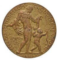 Reményi József (1887-1977) 1925. "Méhely Lajos" aranyozott Br emlékérem. "LUDOVICO MÉ...