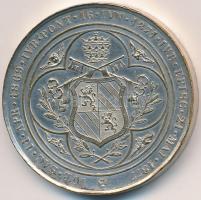 Vatikán 1877. "IX. Pius püspöki jubileuma" ezüstözött Br emlékérem. Szign.: Charles Wiener...